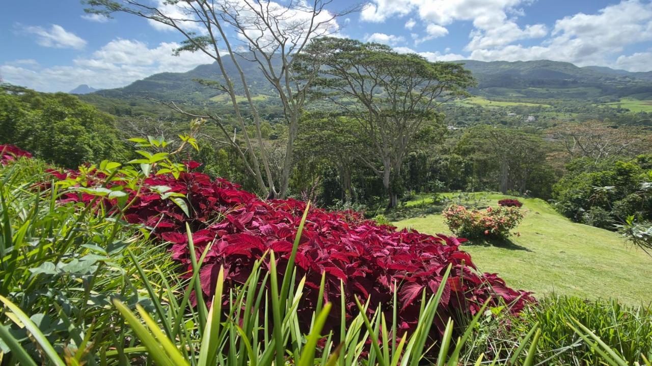 Green Cottage Chamarel Exterior photo